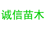 衡陽市東氟新材料股份有限公司